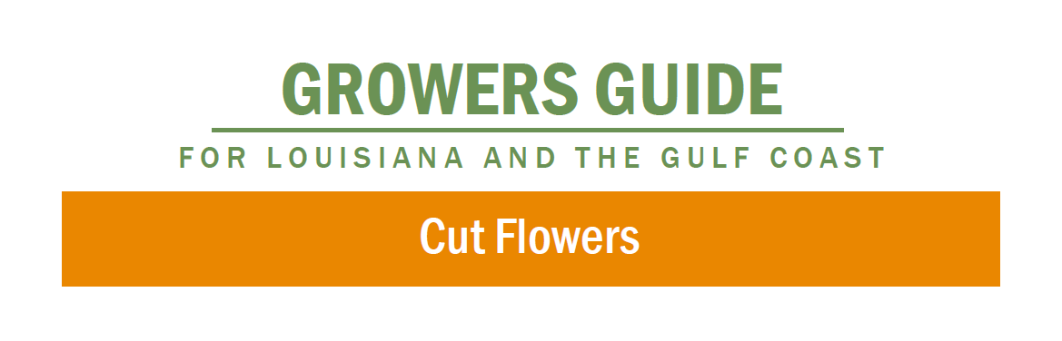 Growers guide cut flowers for Louisiana and the Gulf Coast banner.